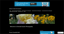 Desktop Screenshot of emeraldstudiophoto.com